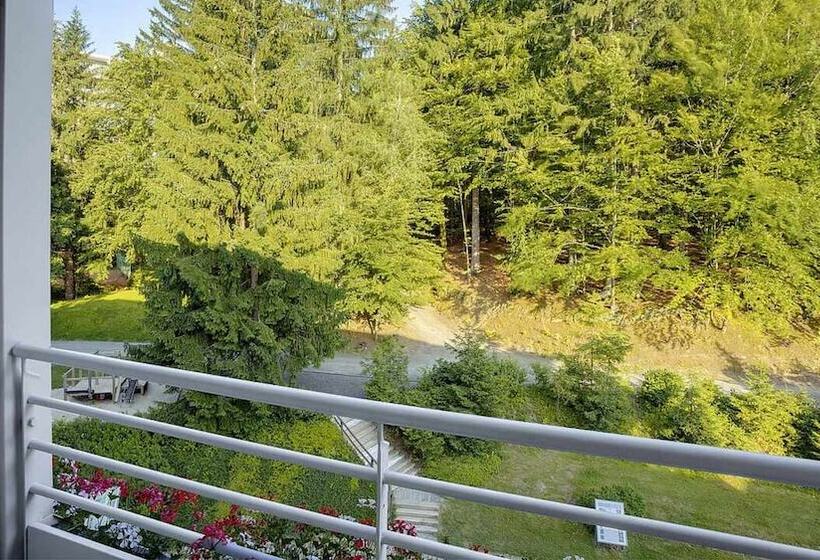 اتاق سوپریور, Robinson Landskron