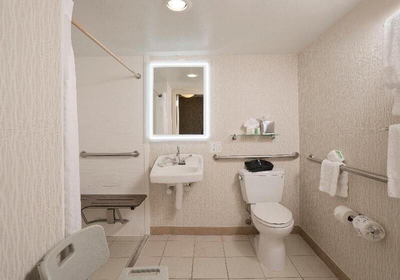 غرفة سوبيريور, Catalina