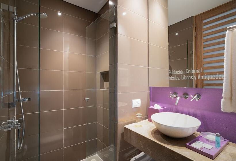 家庭间, Bari Bucaramanga