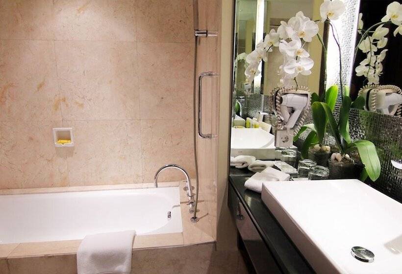 디럭스 룸, The Arista