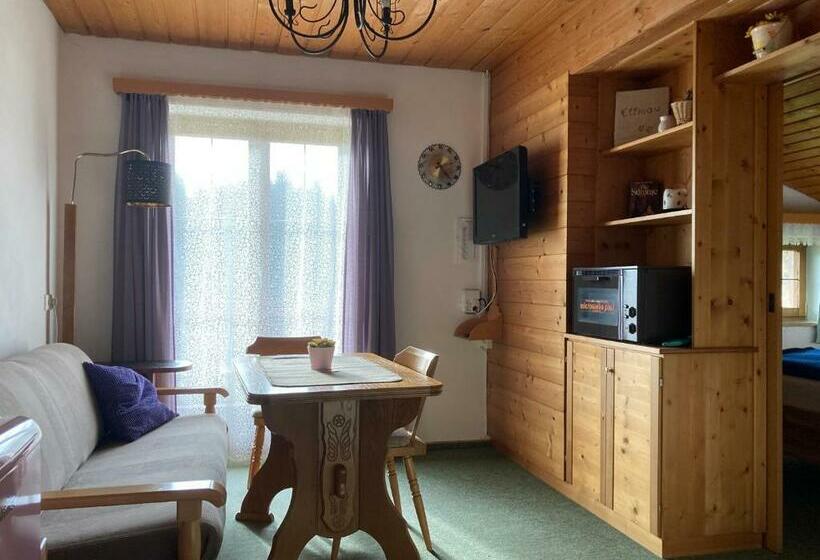Appartement met 1 Slaapkamer en Balkon, Ellmauhof
