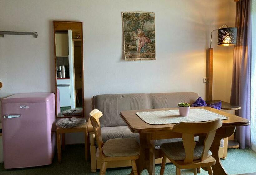 Appartement met 1 Slaapkamer en Balkon, Ellmauhof