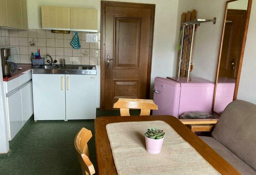 Appartement met 1 Slaapkamer en Balkon, Ellmauhof