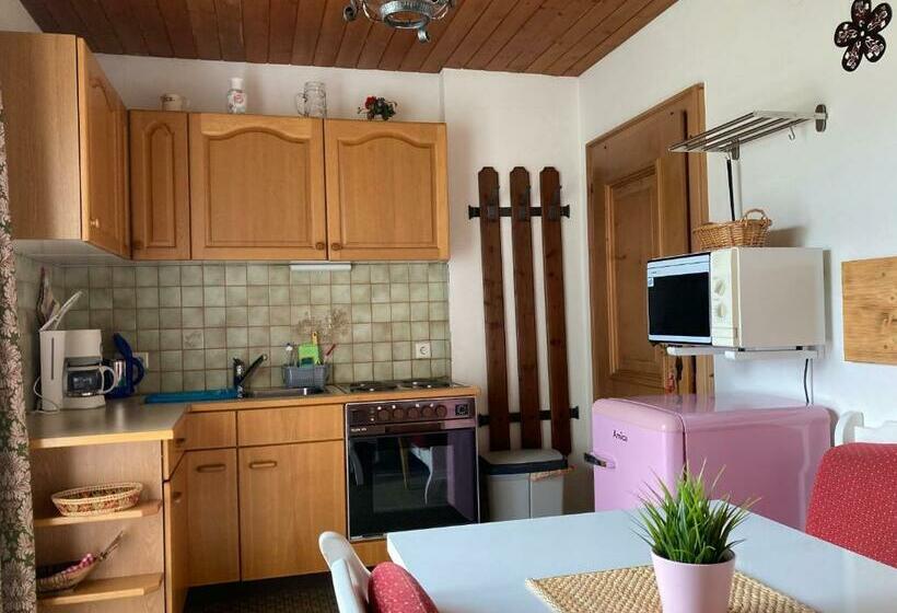 Appartement met 1 Slaapkamer en Balkon, Ellmauhof