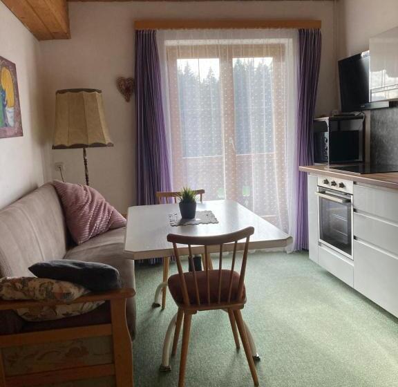 Appartement met 2 Slaapkamers en Balkon, Ellmauhof