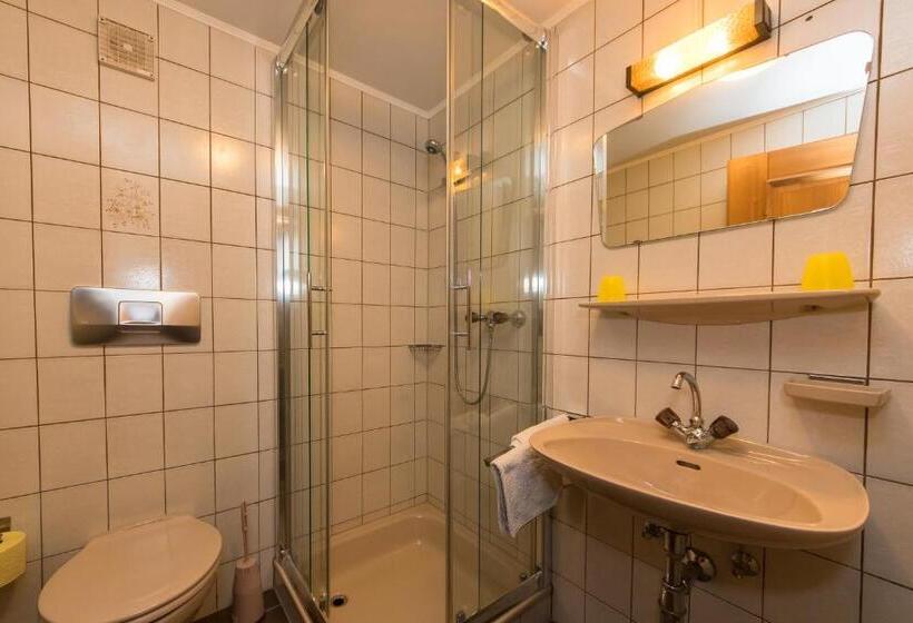 Номер Стандартный с Видом, Teufenbachgut