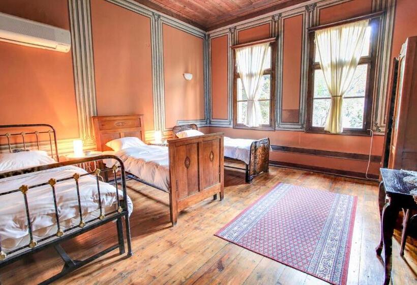 스탠다드 트리픔 룸 공동욕실, Guest House Old Plovdiv