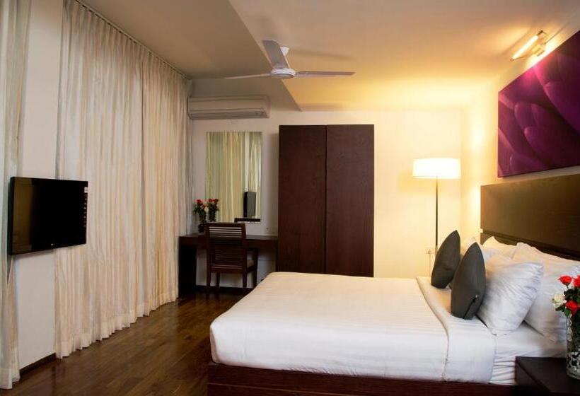 스탠다드 스튜디오, Springs Hotels And Spa