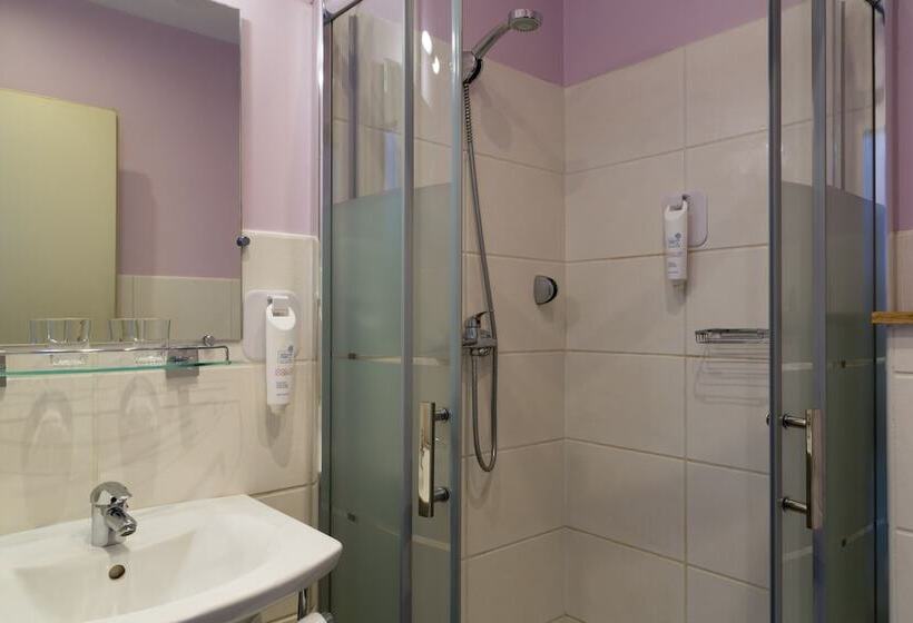 Номер Стандарт, Urban Style, Hôtel Le Cheval Noir, Saint étienne