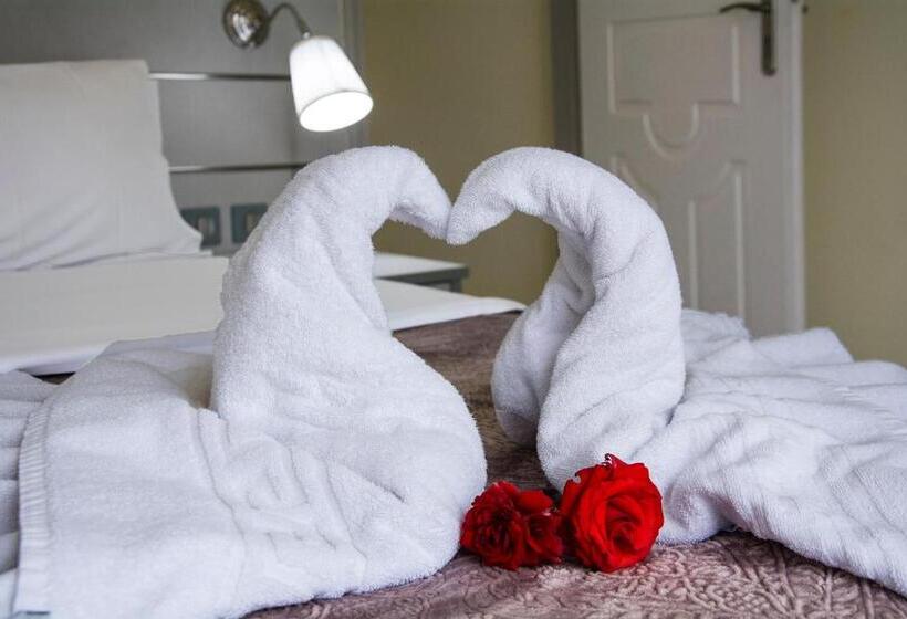 Студия Стандарт, Alkion