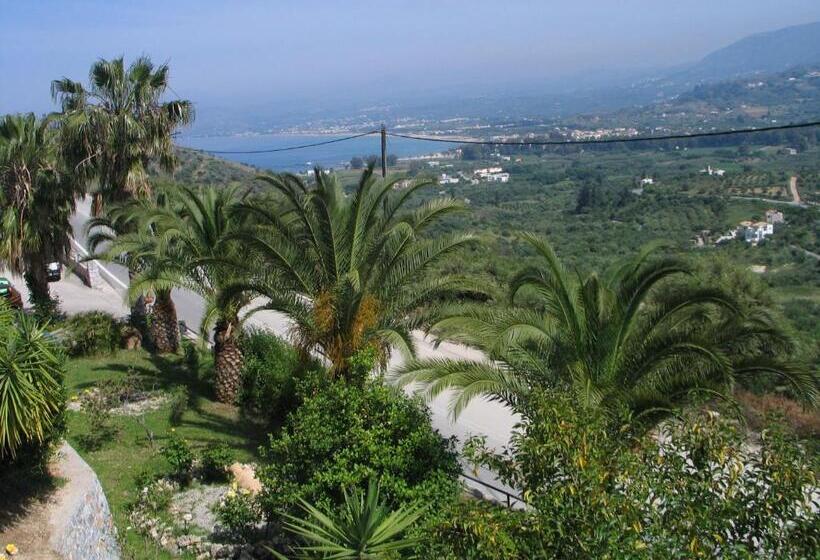 Студия Стандарт, Alkion