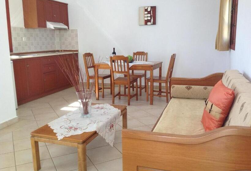 آپارتمان 1 خوابه با چشمانداز دریا, Golden Sun Apartments