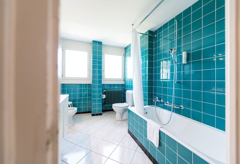 Полулюкс, Grand Hôtel Des Rasses & Wellness