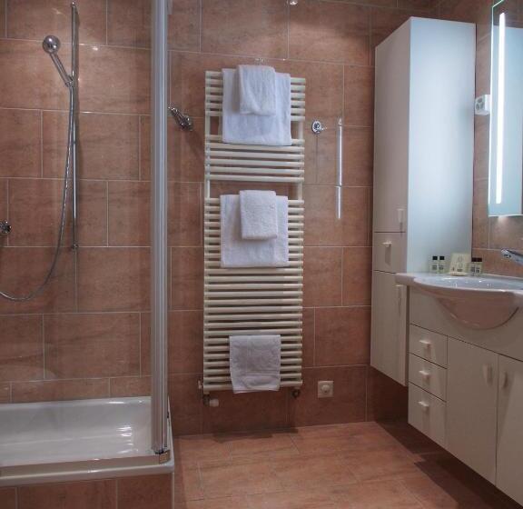 小型套房, Grand Hôtel Des Rasses & Wellness