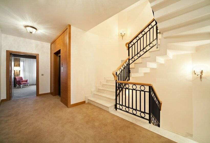 اتاق اجرایی, Gravis Suites