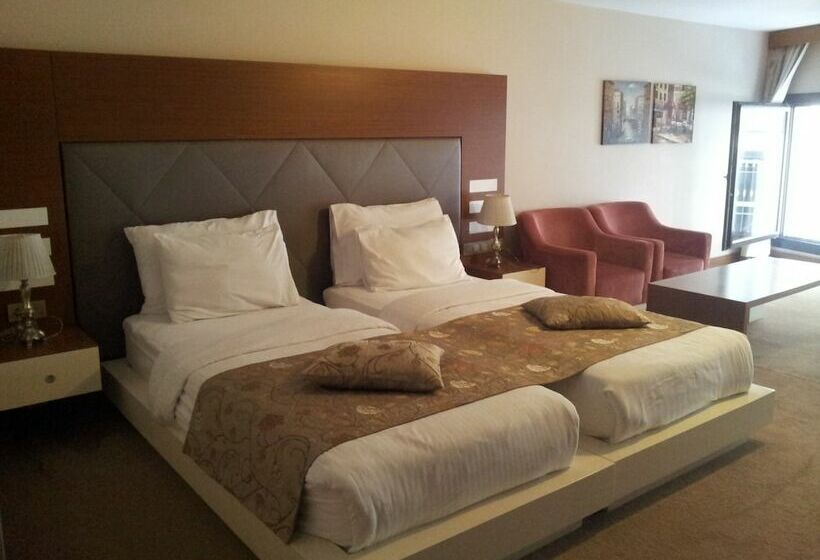 اتاق سوپریور, Gravis Suites
