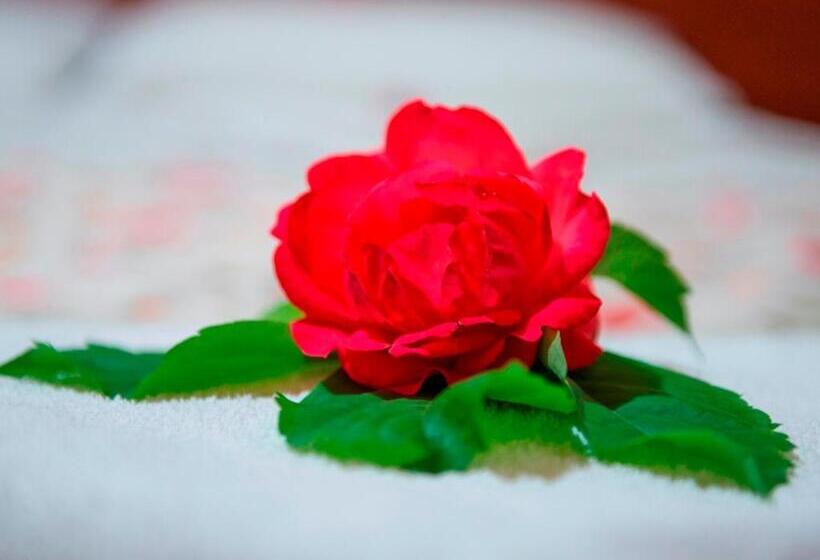 Трехместный Номер Комфорт, Han Dalyan