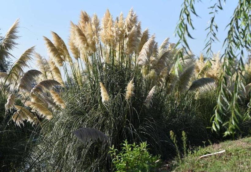 キングサイズベッドのスタンダードルーム, Howard Johnson Resort & Convention Center Ezeiza