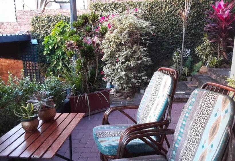 חדר סופריור, Meerkat Manor