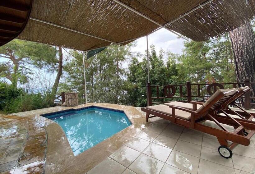 Президентский Люкс, Zakros Hotel Lykia   Adults Only
