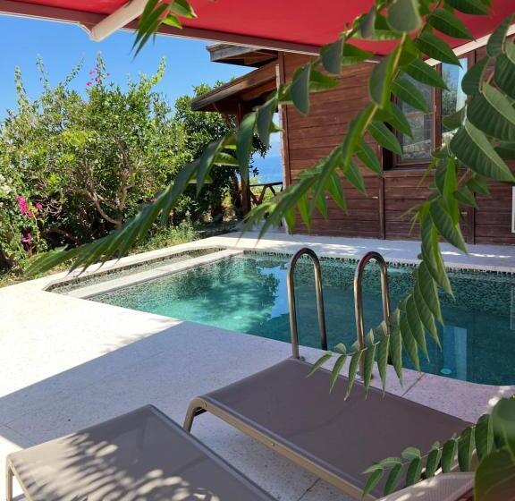 Люкс с Бассейном, Zakros Hotel Lykia   Adults Only