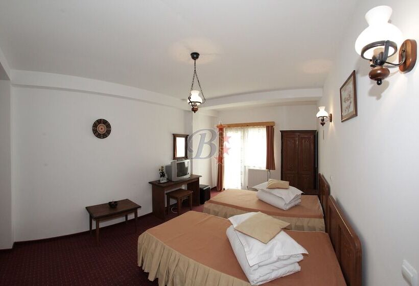 Номер Стандарт Вид на Горы, Bran Belvedere International