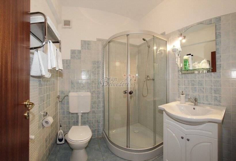 Номер Basic, Bran Belvedere International