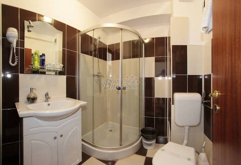 اتاق عادی, Bran Belvedere International