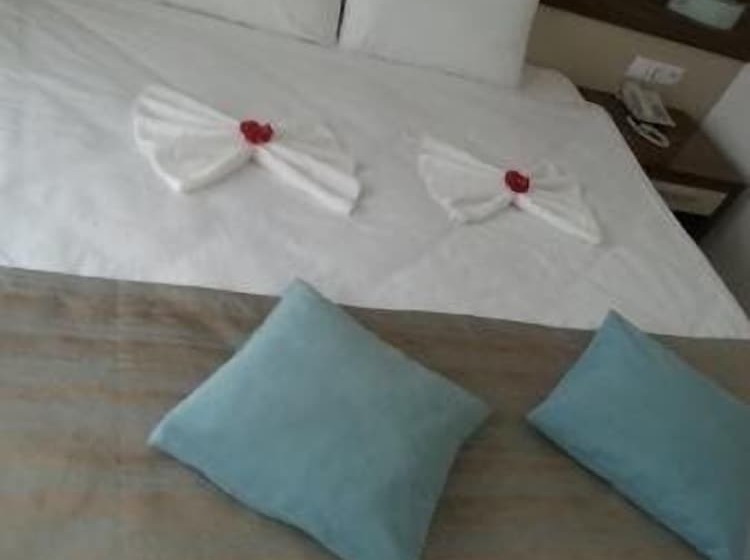 חדר סטנדרט, Cotton