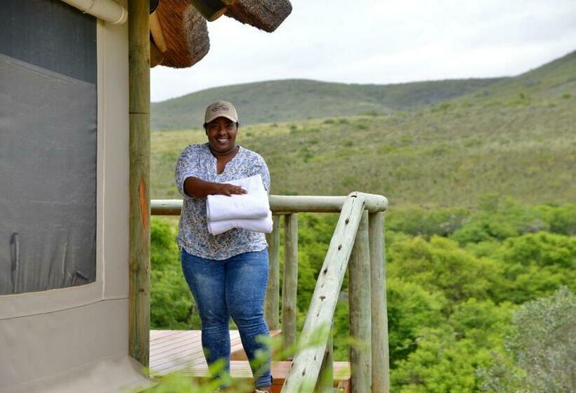 كوخ ديلوكس, Garden Route Safari Camp