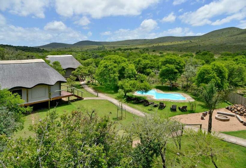 كوخ ديلوكس, Garden Route Safari Camp