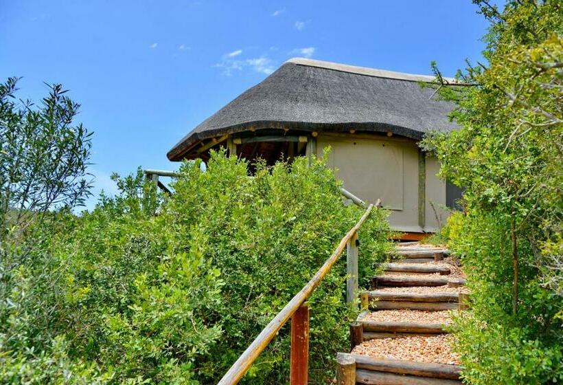 كوخ ديلوكس, Garden Route Safari Camp