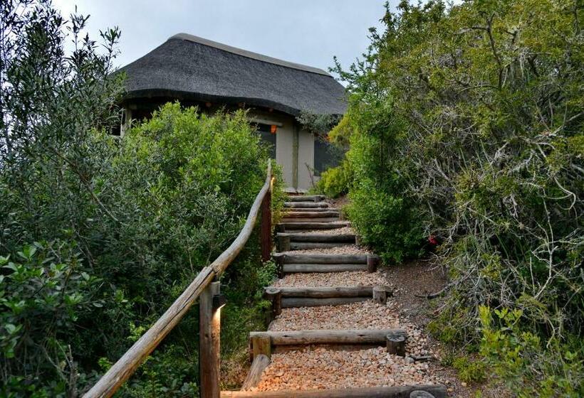 كوخ ديلوكس, Garden Route Safari Camp