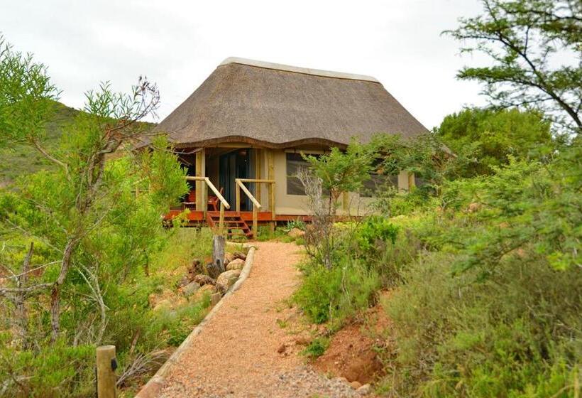 كوخ ديلوكس, Garden Route Safari Camp
