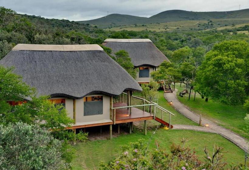 كوخ ديلوكس, Garden Route Safari Camp