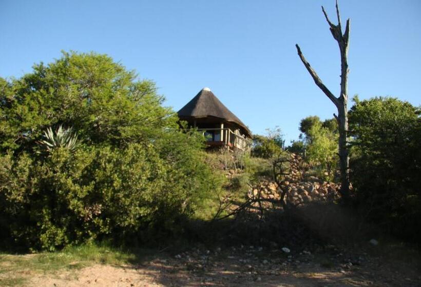 كوخ ديلوكس, Garden Route Safari Camp