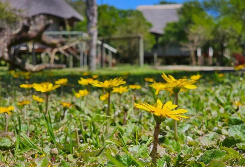 كوخ ديلوكس, Garden Route Safari Camp