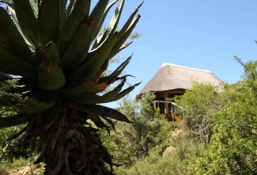 كوخ ديلوكس, Garden Route Safari Camp