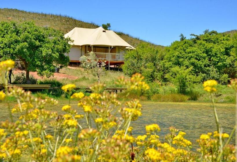 كوخ قياسي, Garden Route Safari Camp