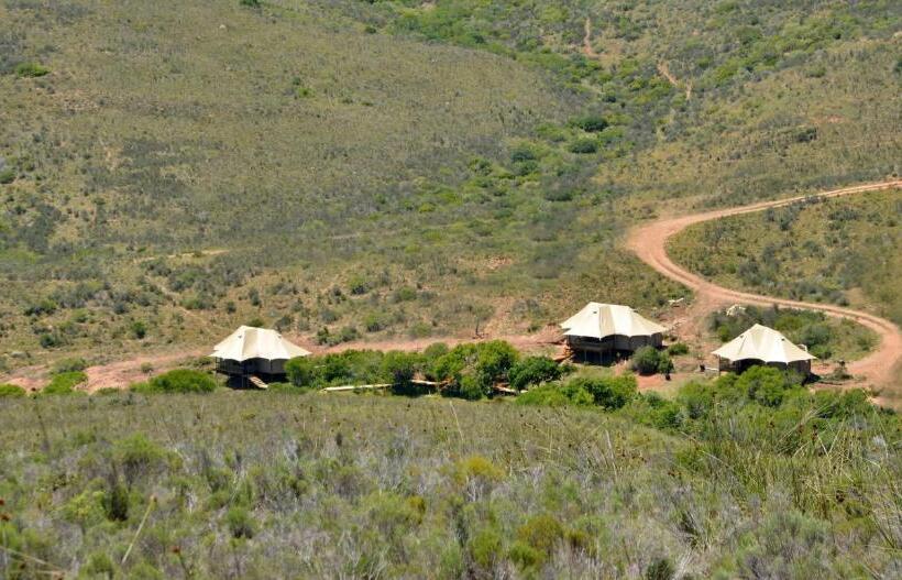 كوخ قياسي, Garden Route Safari Camp