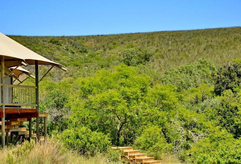 كوخ قياسي, Garden Route Safari Camp