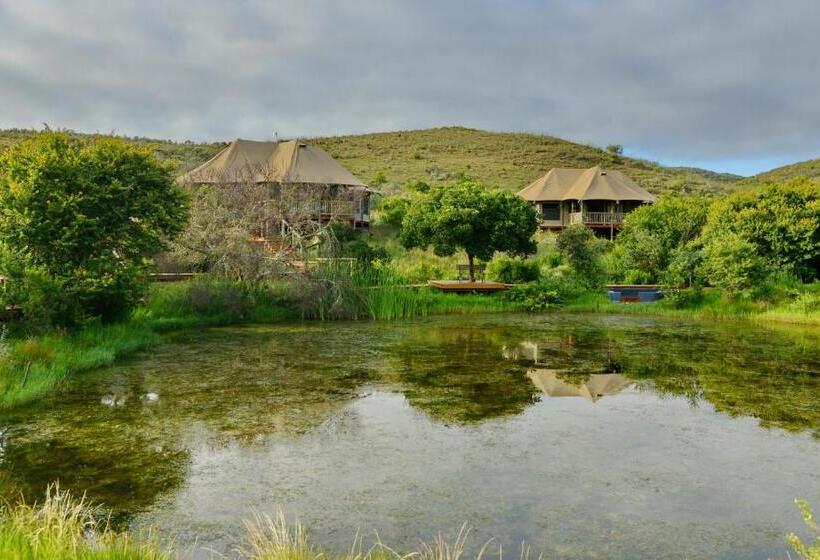 كوخ قياسي, Garden Route Safari Camp