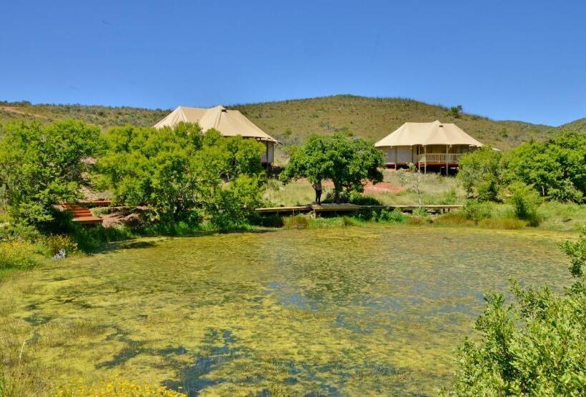 كوخ قياسي, Garden Route Safari Camp