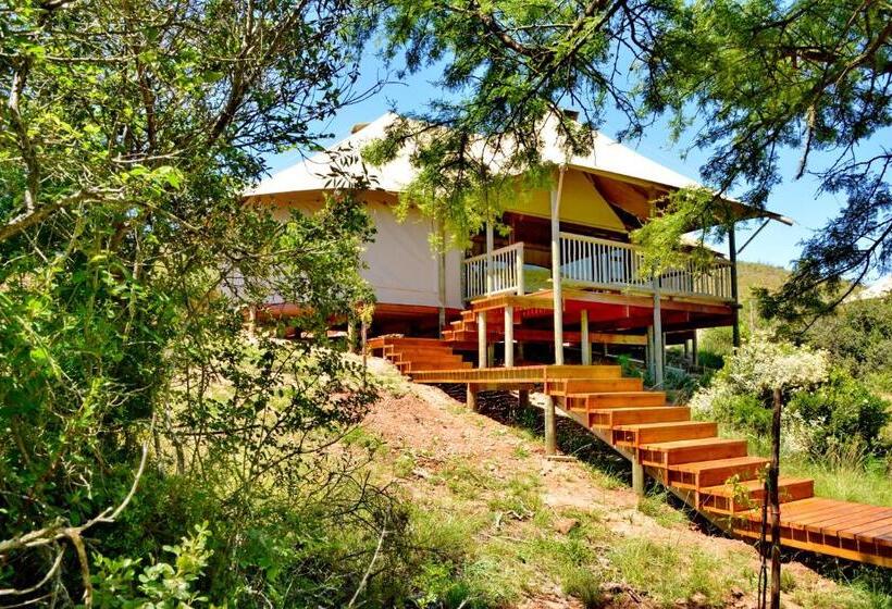 كوخ قياسي, Garden Route Safari Camp