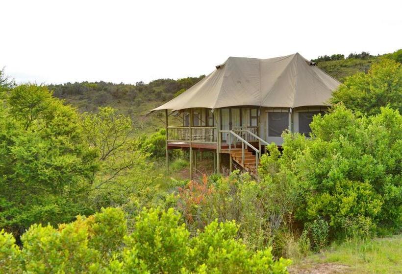 كوخ قياسي, Garden Route Safari Camp
