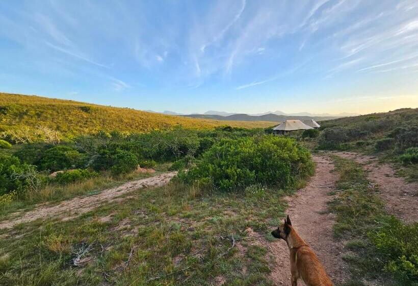 كوخ قياسي, Garden Route Safari Camp