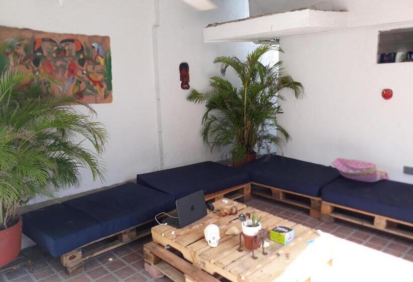 اتاق خانوادگی, Casa Aluna Hostel