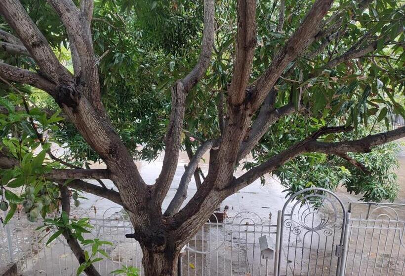 اتاق خانوادگی, Casa Aluna Hostel
