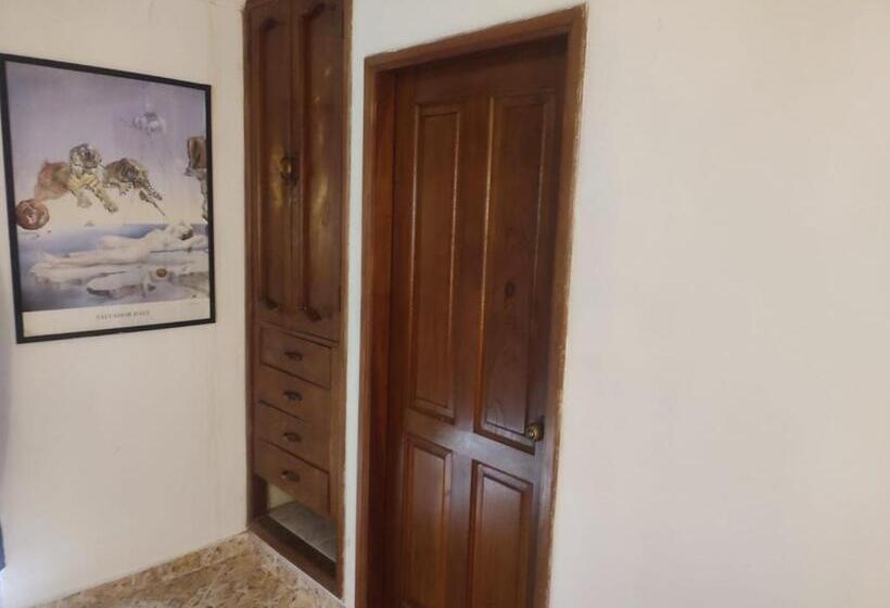 سوییت خانوادگی, Casa Aluna Hostel