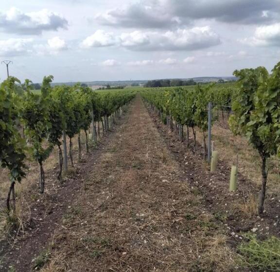 Номер Стандарт, Le Cœur Du Breuil